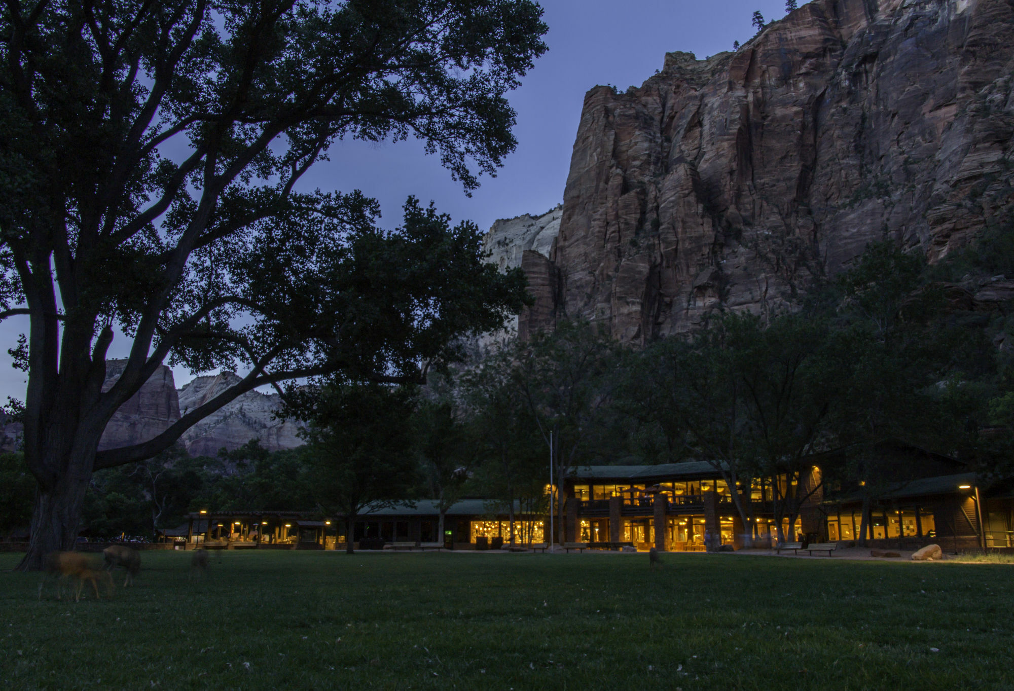 Zion Lodge Springdale Eksteriør bilde